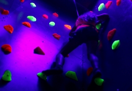 IMG 4569